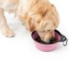 Hills Point Travel Cat Bowl Collapsible Pet Supplies-6