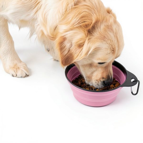 Hills Point Travel Cat Bowl Collapsible Pet Supplies-6