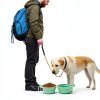 UJT Collapsible Dog Bowls Portable Food Grade Silicone-3