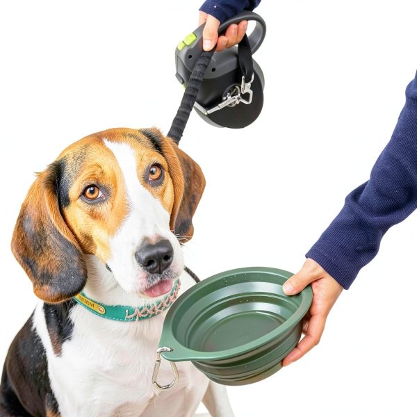 CHICHIPAWS Collapsible Dog Bowl Silicone Travel Pet Supplies-1