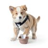 MEINV Collapsible Dog Bowl Travel Set Food Container Poop-6