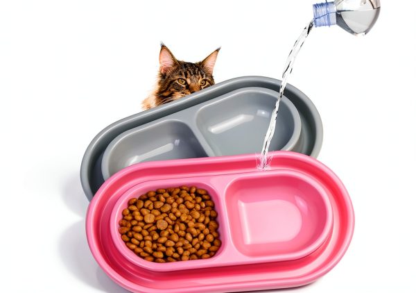 Harhana Ant Proof Cat Bowls Double Bowl Outdoor Travel-0