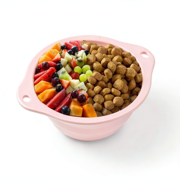 CYGJ Foldable Silicone Pet Bowl Travel Food Water Dish-3
