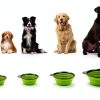 Hills Point Travel Pet Bowl Collapsible Durable Design-5