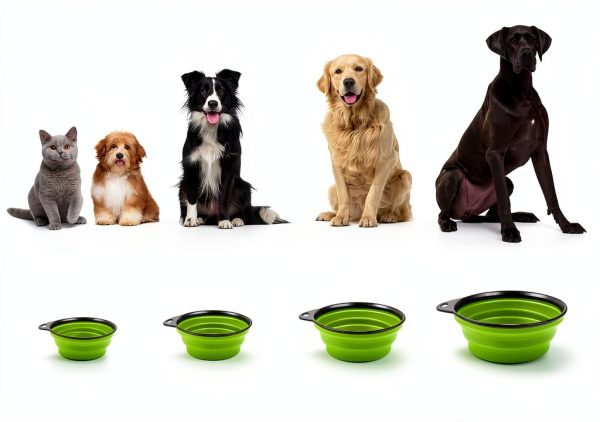 Hills Point Travel Pet Bowl Collapsible Durable Design-5