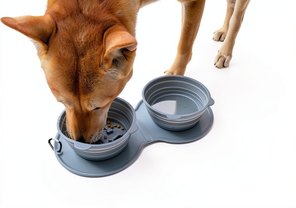 ARTIGREE Foldable Pet Bowls Travel Cat Dog Food Water-3