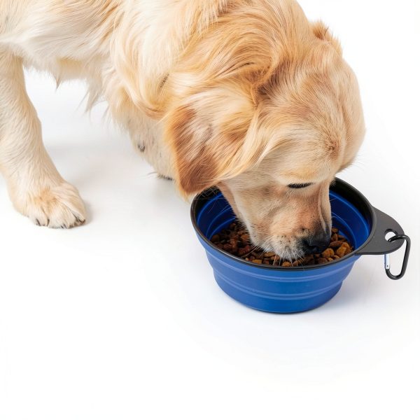 Hills Point Travel Pet Bowl Collapsible Durable Design-6