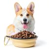 Blusaryme Collapsible Pet Bowl Foldable Travel Dog Cat Bowls-6