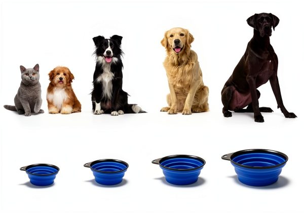 Hills Point Travel Pet Bowl Collapsible Durable Design-5