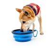 Blusaryme Collapsible Pet Bowl Foldable Travel Dog Cat Bowls-4