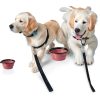 Hills Point Travel Cat Bowl Collapsible Pet Supplies-7