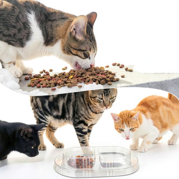 GuHeUS Disposable Pet Bowls Anti Ant Design Travel Cat Bowls-5
