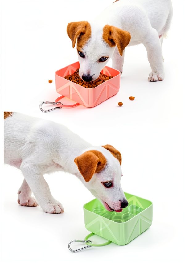 ITISMUNGO Collapsible Travel Dog Bowls Silicone Pet Feeding-2