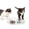 GuHeUS Disposable Pet Bowls Anti Ant Design Travel Cat Bowls-4