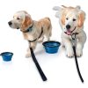 Hills Point Travel Pet Bowl Collapsible Durable Design-7