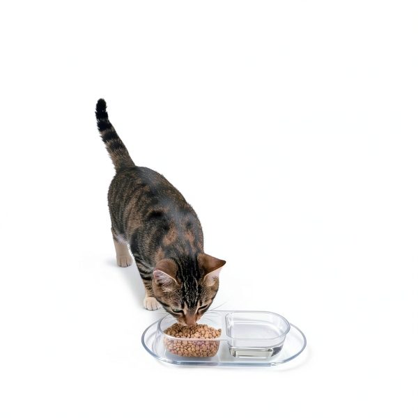 YBEATY Ant Proof Pet Bowls Disposable Double Bowl Travel-4