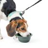 CHICHIPAWS Collapsible Dog Bowl Silicone Travel Pet Supplies-4