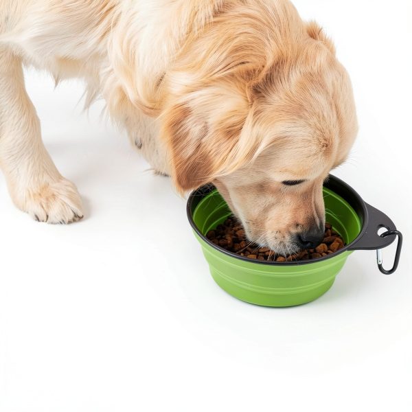 Hills Point Travel Pet Bowl Collapsible Durable Design-6