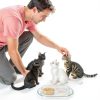 YBEATY Ant Proof Pet Bowls Disposable Double Bowl Travel-5