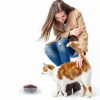 Sawysine Disposable Cat Bowl Ant Proof Travel Pet Supplies-5
