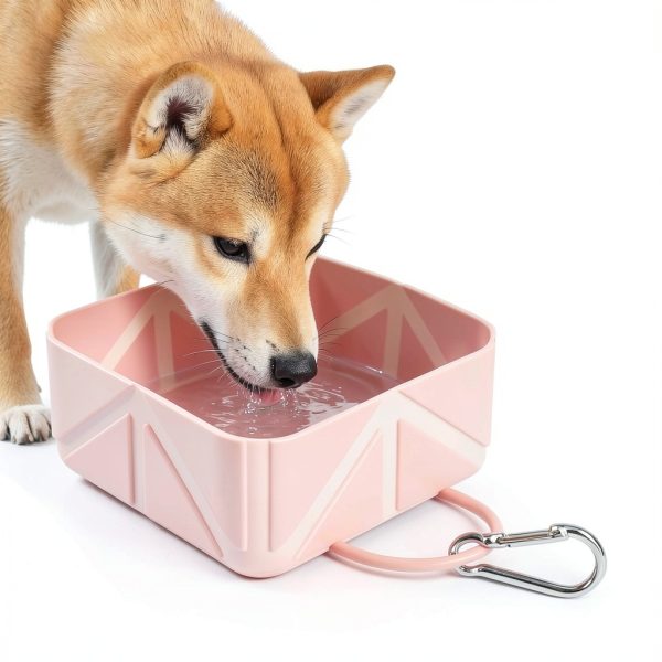 ITISMUNGO Collapsible Travel Dog Bowls Food Grade Silicone-3