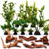 Driftwood Decoration Solsew Aquarium Wood Set 6 Natural Pieces-0