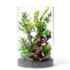 Driftwood Decoration Solsew Aquarium Wood Set 6 Natural Pieces-3