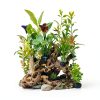 Driftwood Decoration Solsew Aquarium Wood Set 6 Natural Pieces-6