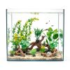 Driftwood Decoration Solsew Aquarium Wood Set 6 Natural Pieces-4