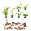 Driftwood Decoration Solsew Aquarium Wood Set 6 Natural Pieces-2