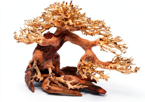 Ultum Nature Systems Bonsai – Handcrafted Driftwood for Aquarium, Tree Shape Aquarium Decor, Fish Tank Decorations, Terrarium Decor, Aquascaping Hardscape for Freshwater & Nano Tank - 021, X Small-0