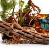 Natural Cholla Wood Hexagrowth Aquarium Décor Driftwood 5‑Piece 6"-1