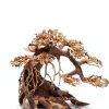 Ultum Nature Systems Bonsai – Handcrafted Driftwood for Aquarium, Tree Shape Aquarium Decor, Fish Tank Decorations, Terrarium Decor, Aquascaping Hardscape for Freshwater & Nano Tank - 021, X Small-4