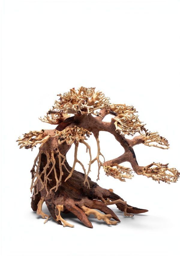 Ultum Nature Systems Bonsai – Handcrafted Driftwood for Aquarium, Tree Shape Aquarium Decor, Fish Tank Decorations, Terrarium Decor, Aquascaping Hardscape for Freshwater & Nano Tank - 021, X Small-4