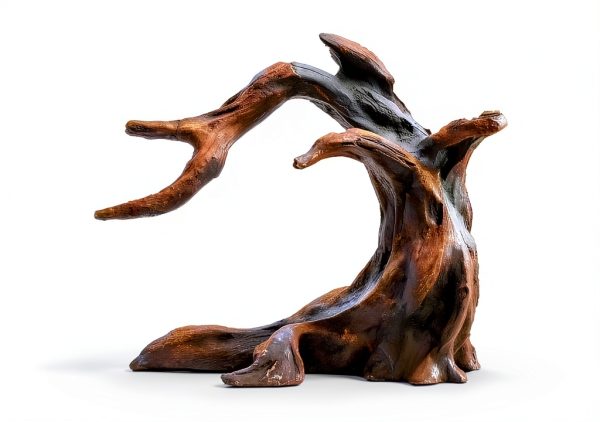 Aquarium Driftwood Decor Set - 1 Anubias Resin Model & 3Pcs Small Natural Driftwood 2-4 inch for Aquascaping, Fish Tank Landscape Design-2