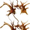 Aquarium Driftwood Branches Dwuww 2-Piece Natural Wood Décor 8-10cm-0