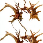 Aquarium Driftwood Branches Dwuww 2-Piece Natural Wood Décor 8-10cm-0