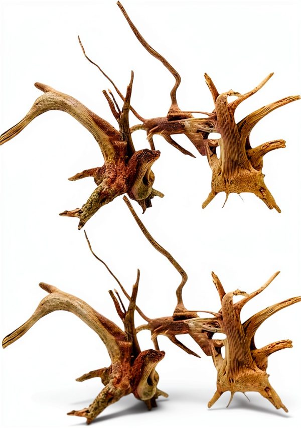 Aquarium Driftwood Branches Dwuww 2-Piece Natural Wood Décor 8-10cm-0