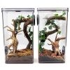 Natural Small Spiderwood Driftwood 10pcs 5-6in Aquarium Décor by-4