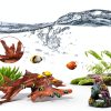 5-Piece 4-8 Inches Natural Aquarium Driftwood Decorations - Aquascape Decor for Fish Tanks, Betta Hideouts, Reptile Enclosures & Plant Attachment-2