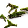 Tfwadmx 5PCS Aquarium Driftwood Branches 4''-7.8'' Reptiles Trunk Natural Wood Fish Tank Decoration Plant Stump Ornament Decor Assorted-6