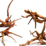 Tfwadmx Aquarium Driftwood Natural Wood 4''-7'' Reptile Branch Fish Tank Tree Plant Stump Ornament Decor 4 PCS-0