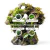 5-Piece 4-8 Inches Natural Aquarium Driftwood Decorations - Aquascape Decor for Fish Tanks, Betta Hideouts, Reptile Enclosures & Plant Attachment-7