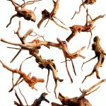 kathson Aquarium Driftwood Reptile Branches Wood Natural Spiderwood Driftwood for Aquarium 5-6" 11 Pcs Terrarium Ornament Trunk Fish Tank Log Habitat Decoration Tree Stump Decor Assorted Sizes Wood-0