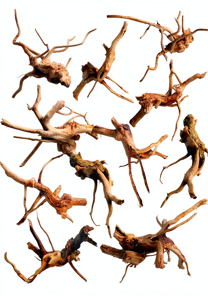 Installing kathson Aquarium Driftwood Reptile Branches Wood Natural Spiderwood Driftwood for Aquarium 5-6