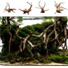 Tfwadmx Aquarium Driftwood Natural Wood 4''-7'' Reptile Branch Fish Tank Tree Plant Stump Ornament Decor 4 PCS-3