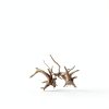 Aquarium Driftwood Branches Tustao Wood Décor Fish Tank 8-10cm-2