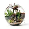 Tfwadmx 5PCS Aquarium Driftwood Branches 4''-7.8'' Reptiles Trunk Natural Wood Fish Tank Decoration Plant Stump Ornament Decor Assorted-2