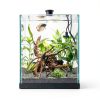 Tfwadmx Aquarium Driftwood Natural Wood 4''-7'' Reptile Branch Fish Tank Tree Plant Stump Ornament Decor 4 PCS-1