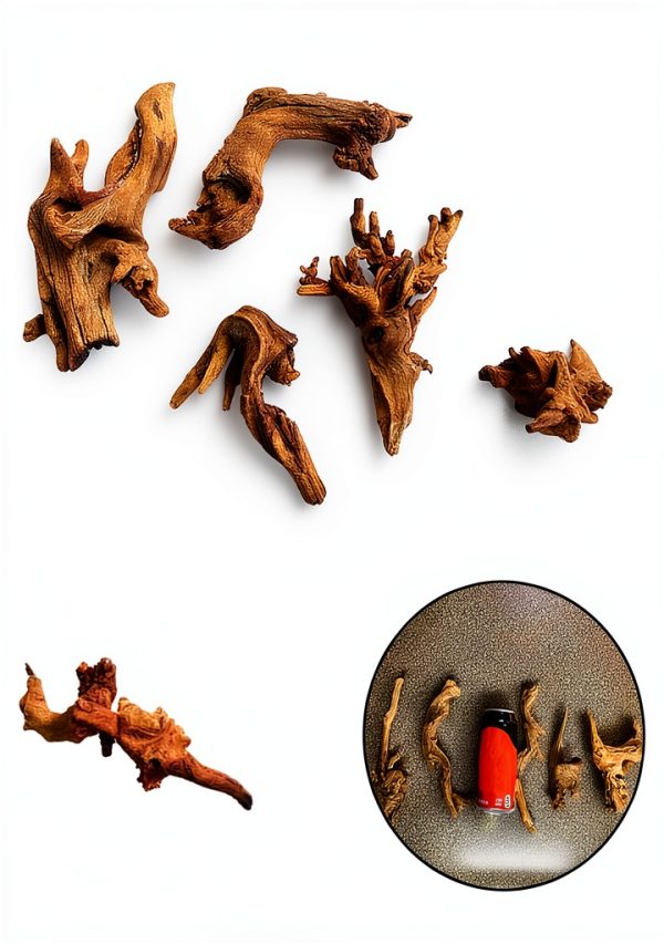 Tfwadmx 5PCS Aquarium Driftwood Branches 4''-7.8'' Reptiles Trunk Natural Wood Fish Tank Decoration Plant Stump Ornament Decor Assorted-3